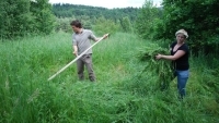 Bieszczady