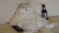 lazy