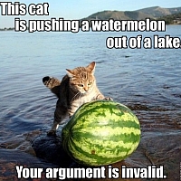 invalid
