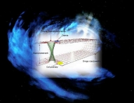 timetravel